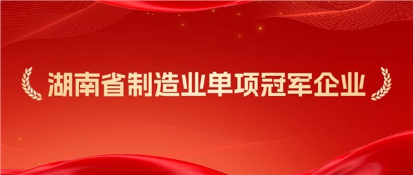 方恒新材獲評“湖南省制造業(yè)單項冠軍企業(yè)”稱號